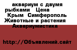 аквариум с двумя рыбками › Цена ­ 2 000 - Крым, Симферополь Животные и растения » Аквариумистика   